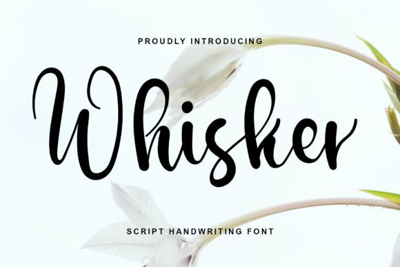Whisker: The Perfect Script Font for Handmade Branding