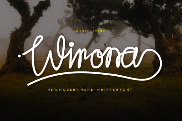 Wirona: The Elegant Script Amp Typeface for Handmade Brands