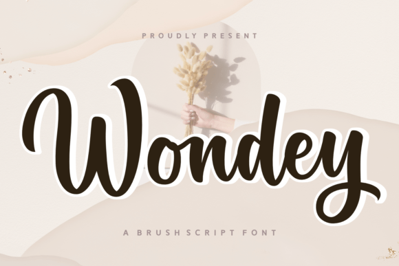 Wondey: The Elegant Script Font That Elevates Small Business Branding